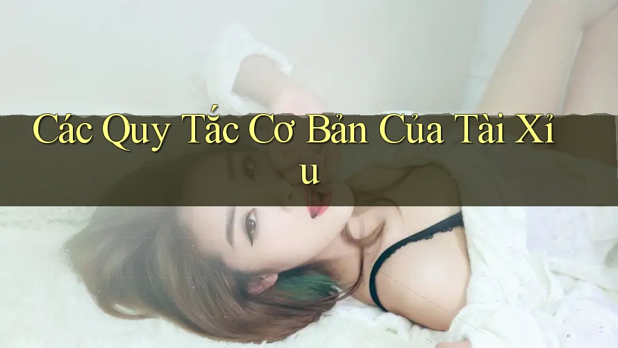 Các Quy Tắc Cơ Bản Của Tài Xỉu Các Quy Tắc Cơ Bản Của Tài Xỉu