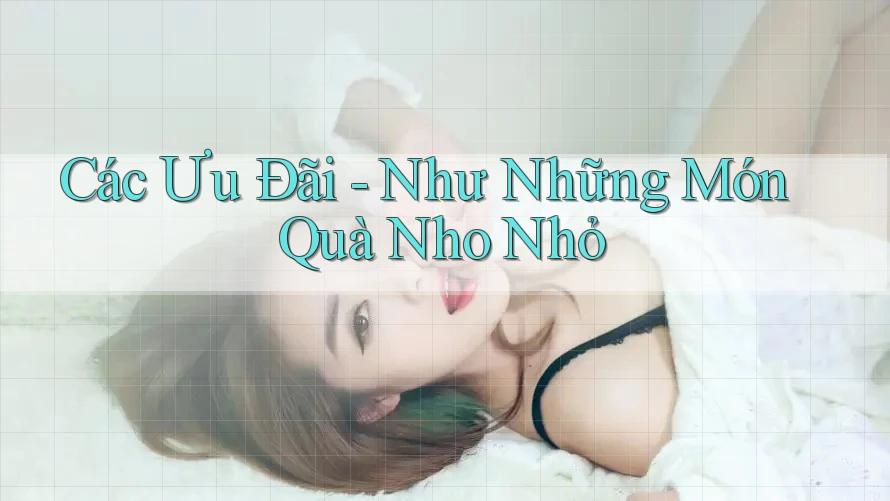 Các Ưu Đãi - Như Những Món Quà Nho Nhỏ Các Ưu Đãi - Như Những Món Quà Nho Nhỏ