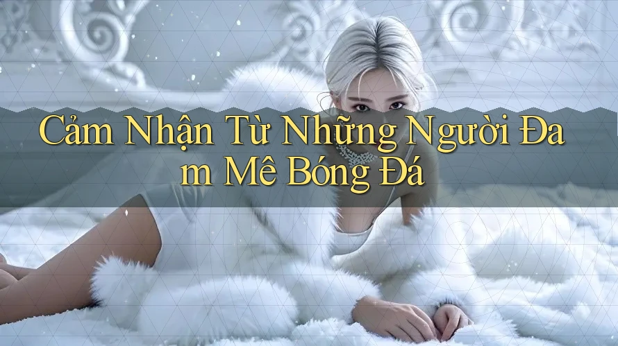 Cảm Nhận Từ Những Người Đam Mê Bóng Đá Cảm Nhận Từ Những Người Đam Mê Bóng Đá