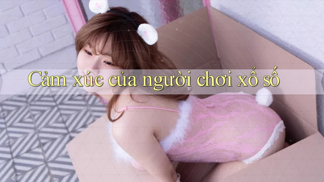 Cảm xúc của người chơi xổ số Cảm xúc của người chơi xổ số