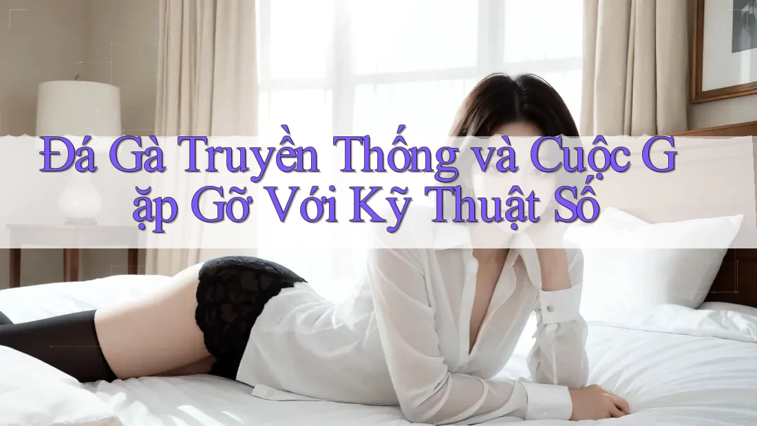 Đá Gà Truyền Thống và Cuộc Gặp Gỡ Với Kỹ Thuật Số Đá Gà Truyền Thống và Cuộc Gặp Gỡ Với Kỹ Thuật Số