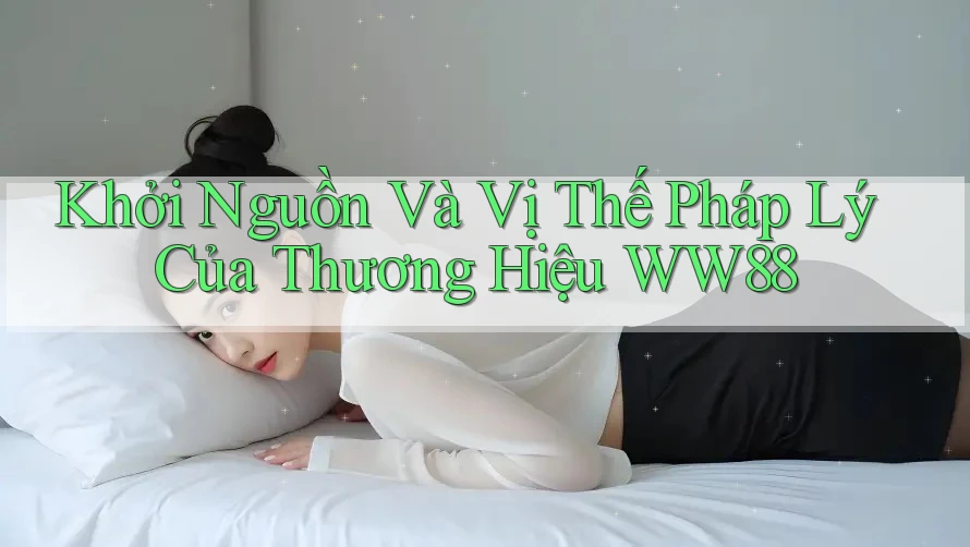 Khởi Nguồn Và Vị Thế Pháp Lý Của Thương Hiệu WW88 Khởi Nguồn Và Vị Thế Pháp Lý Của Thương Hiệu WW88