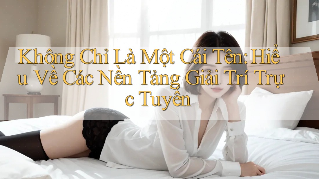 Không Chỉ Là Một Cái Tên: Hiểu Về Các Nền Tảng Giải Trí Trực Tuyến