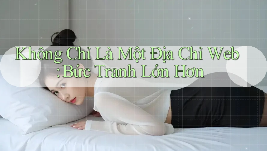 Không Chỉ Là Một Địa Chỉ Web: Bức Tranh Lớn Hơn Không Chỉ Là Một Địa Chỉ Web: Bức Tranh Lớn Hơn