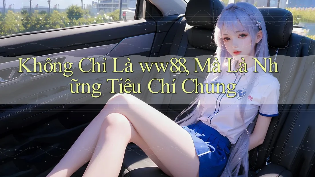 Không Chỉ Là ww88, Mà Là Những Tiêu Chí Chung
