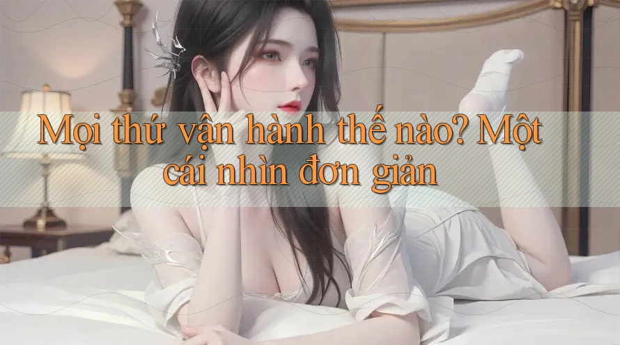 Mọi thứ vận hành thế nào? Một cái nhìn đơn giản