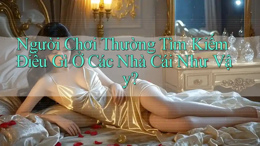 Người Chơi Thường Tìm Kiếm Điều Gì Ở Các Nhà Cái Như Vậy? Người Chơi Thường Tìm Kiếm Điều Gì Ở Các Nhà Cái Như Vậy?