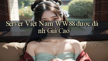server việt nam ww88 được đánh giá cao
