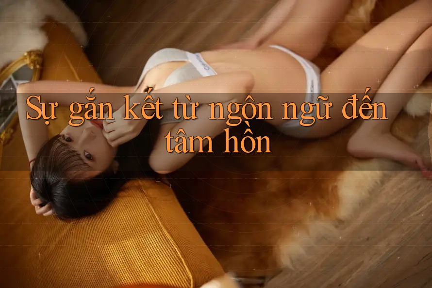 Sự gắn kết từ ngôn ngữ đến tâm hồn Sự gắn kết từ ngôn ngữ đến tâm hồn