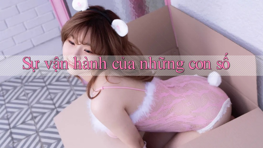 Sự vận hành của những con số Sự vận hành của những con số