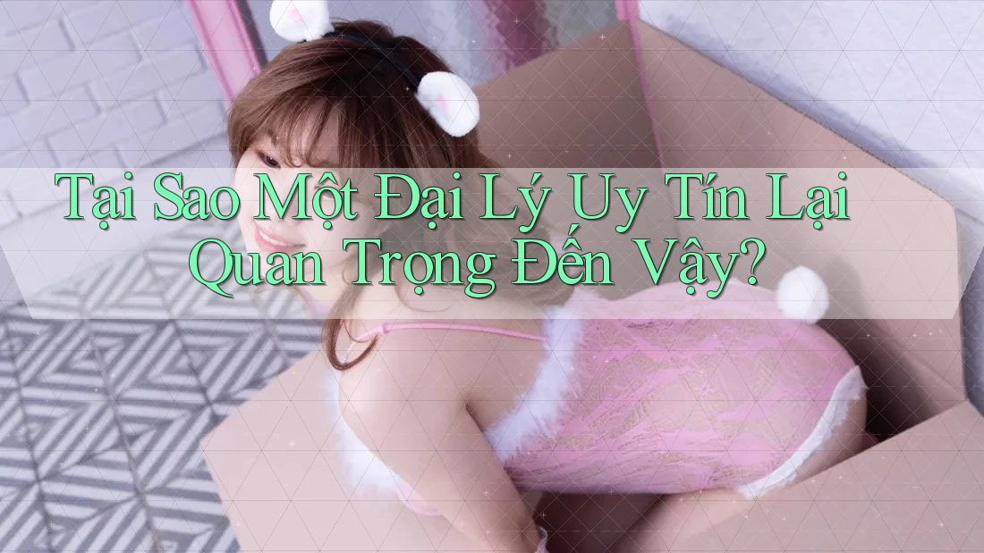 Tại Sao Một Đại Lý Uy Tín Lại Quan Trọng Đến Vậy? Tại Sao Một Đại Lý Uy Tín Lại Quan Trọng Đến Vậy?