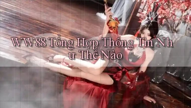 ww88 tổng hợp thông tin như thế nào